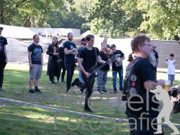 DSC_9559-Verbessert-RR
