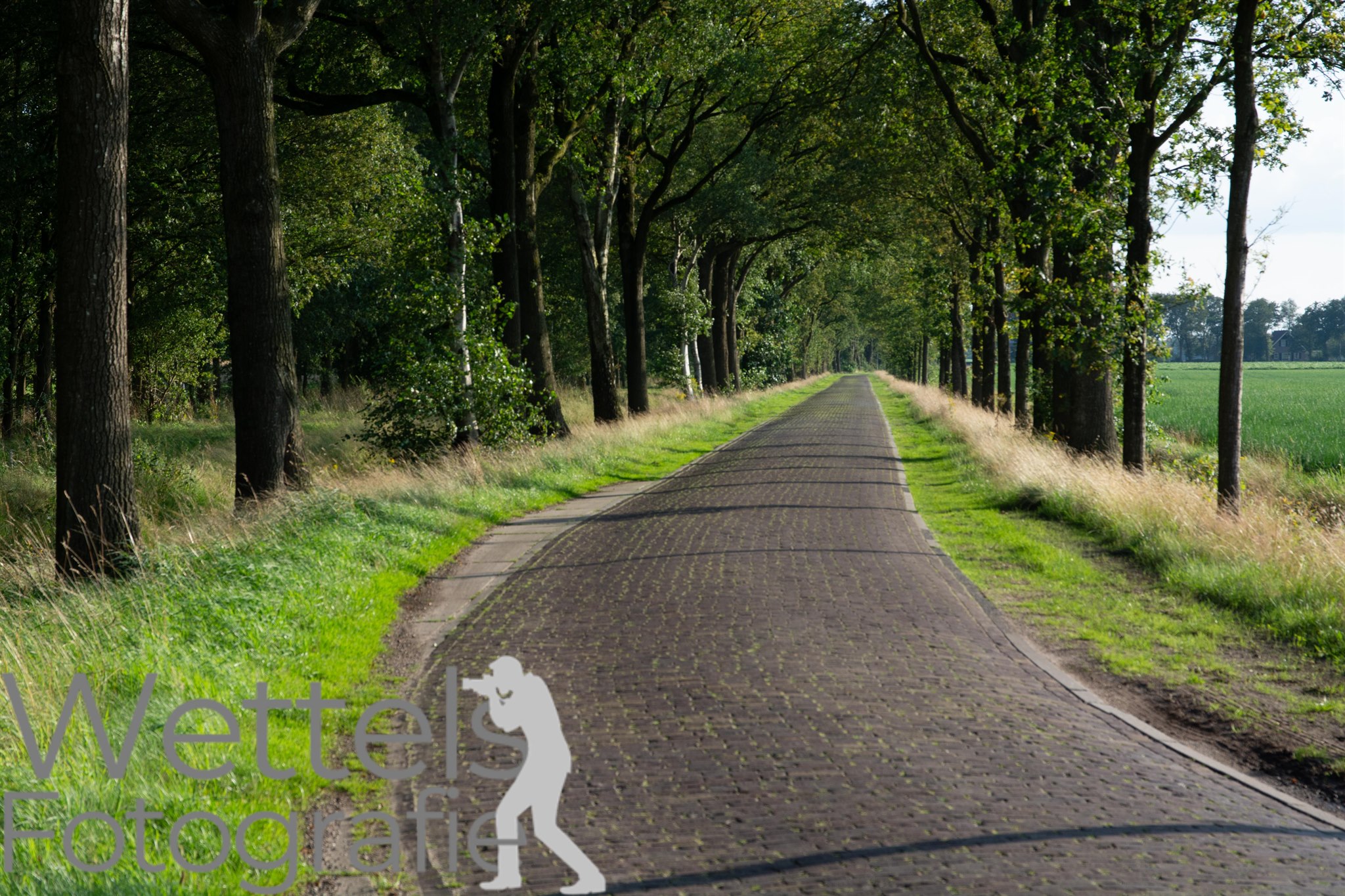Wettels Fotografie – Aufnahme